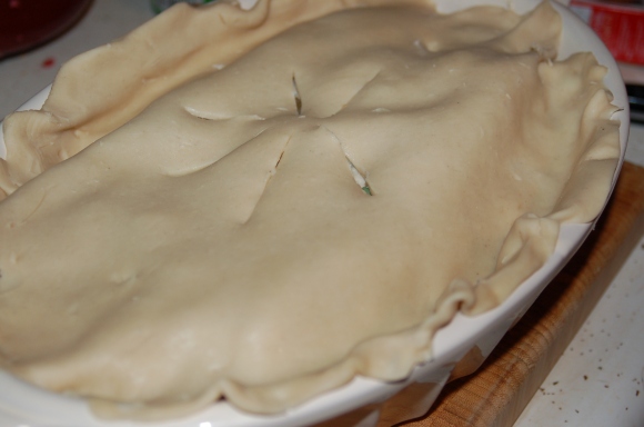 That is a beautiful pie crust that I didn't make.